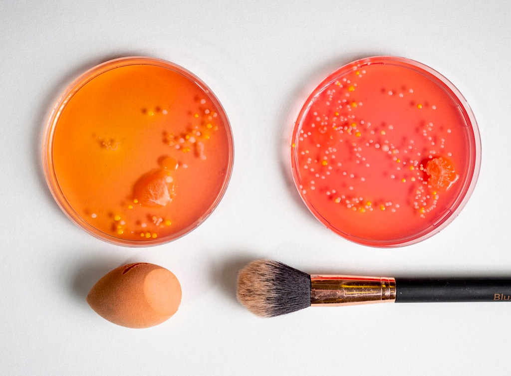 Sharon-Walker-Bugs-in-your-make-up-bag